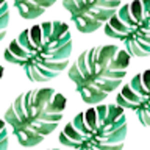 Meet your Posher, Ava